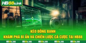 Keo Dong Banh Kham Pha Bi An Va Chien Luoc Ca Cuoc Tai Hb88