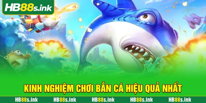 Kinh Nghiem Choi Ban Ca Hieu Qua Nhat