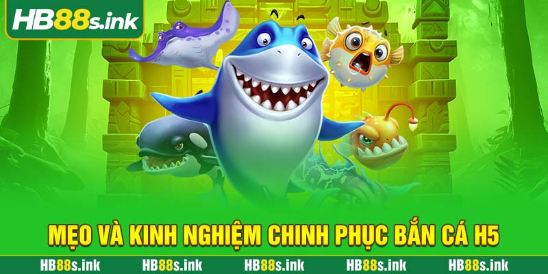 Meo Va Kinh Nghiem Chinh Phuc Ban Ca H5